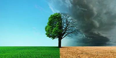 Climate Acceleration