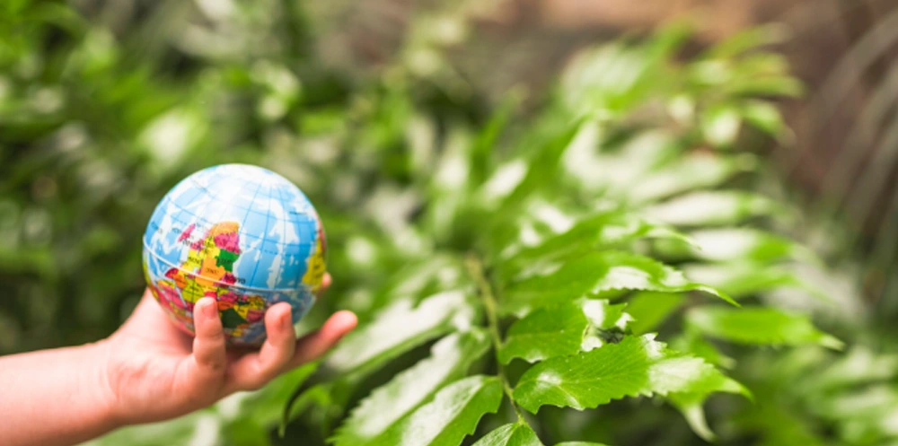 Postulación conjunta a fondos competitivos como la National Science Foundation (NSF), Galapagos Life Fund, fondos verdes y otros fondos internacionales de investigación