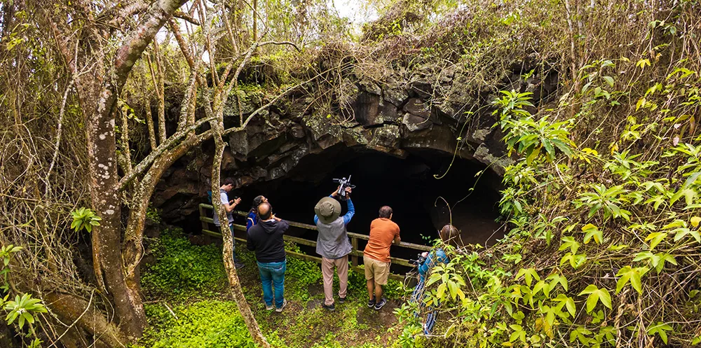 Laboratorios compartidos y campañas de campo coordinadas con universidades socias