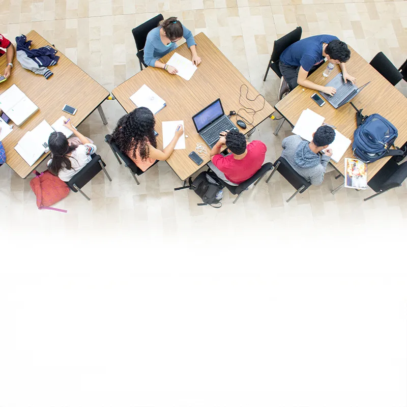 Fortalecimiento académico e institucional